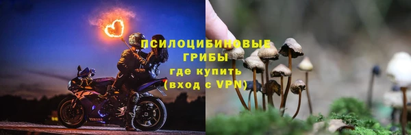 дурь Алексеевка