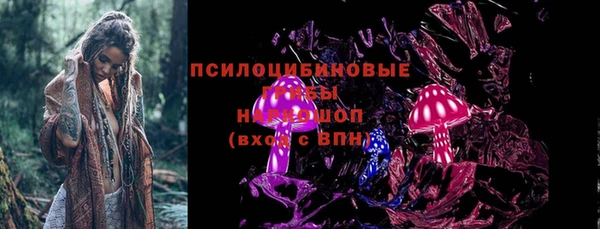 герыч Алексин