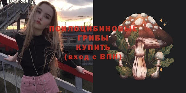 герыч Алексин