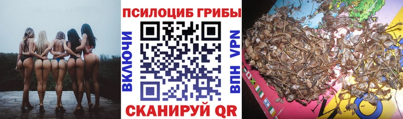 Галлюциногенные грибы прущие грибы  Сим 