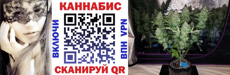 Бошки Шишки планчик Сим